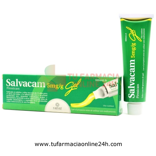 SALVACAM 5mg/g  GEL , 1 tubo de 60 g