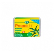 Propolaid pastilla blanda - esi (1 envase 50 g sabor eucaliptus)