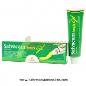 SALVACAM 5mg/g  GEL , 1 tubo de 60 g